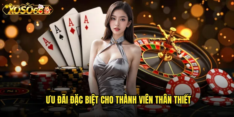 Ưu đãi đặc biệt cho thành viên thân thiết