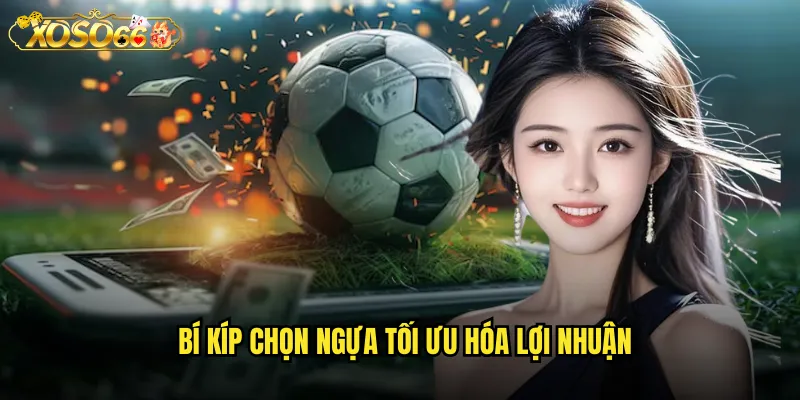 Bí kíp chọn ngựa tối ưu hóa lợi nhuận