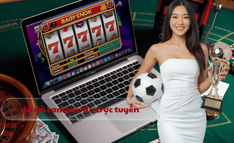 đá gà campuchia trực tuyến